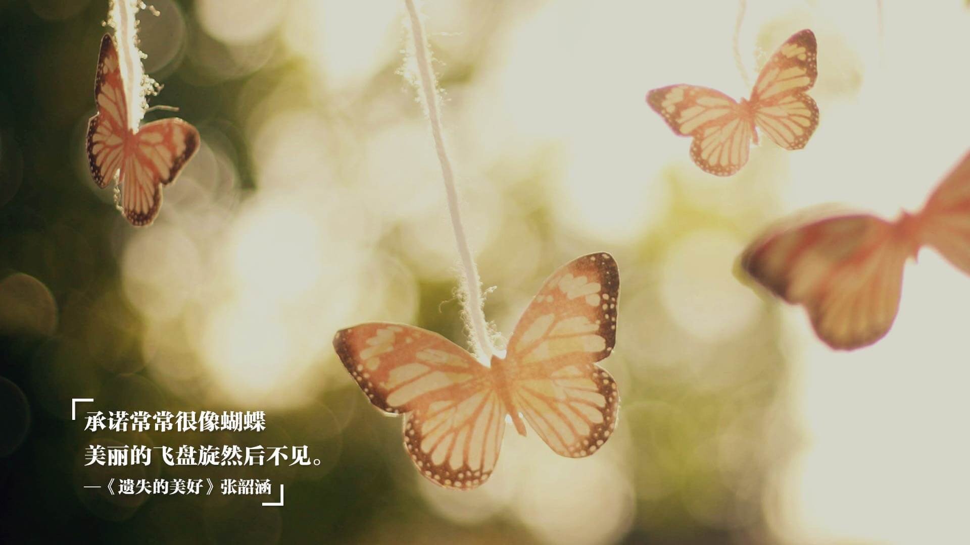 世界健美大赛中国选手登顶,摘得首枚世界金牌,世界健美大赛 冠军