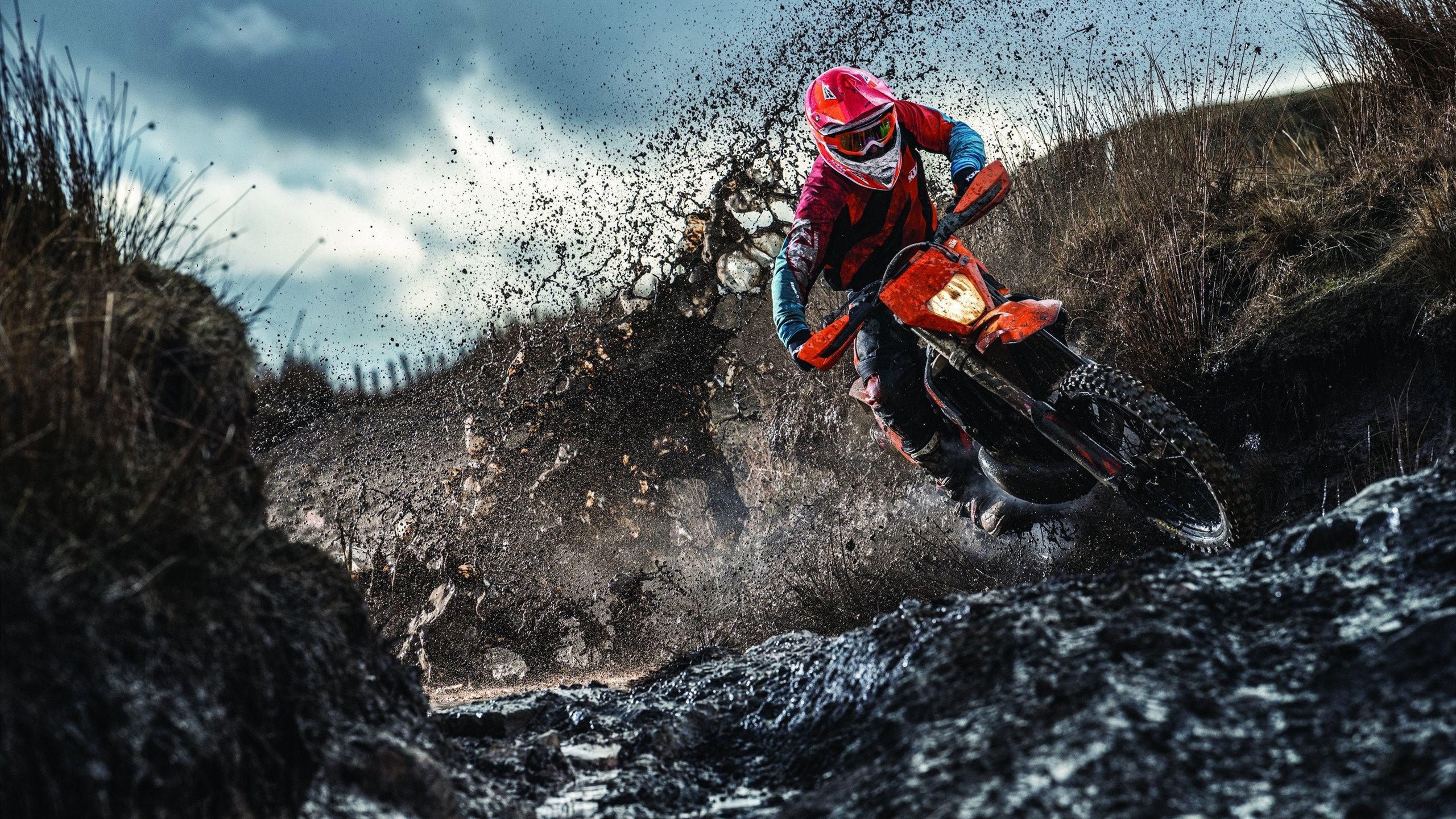 JIUYOU GAMING-新人预热：新赛季最被看好的未来之星，未来之星指什么人物