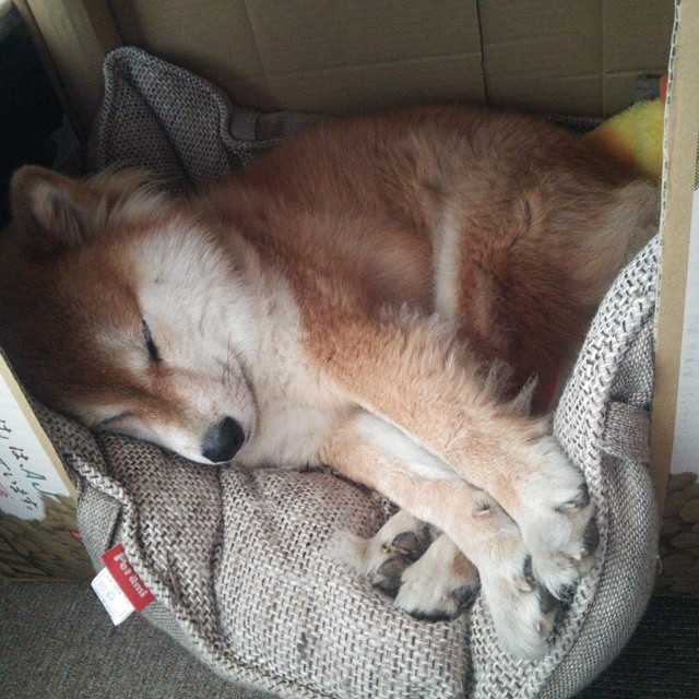 九游网页版官网-青少年篮球“希望之星”全国巡讲活动走进新疆，cba希望之星