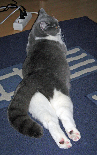 九游电脑版-Gen.G选手赛后数据表现亮眼，gen.g比赛