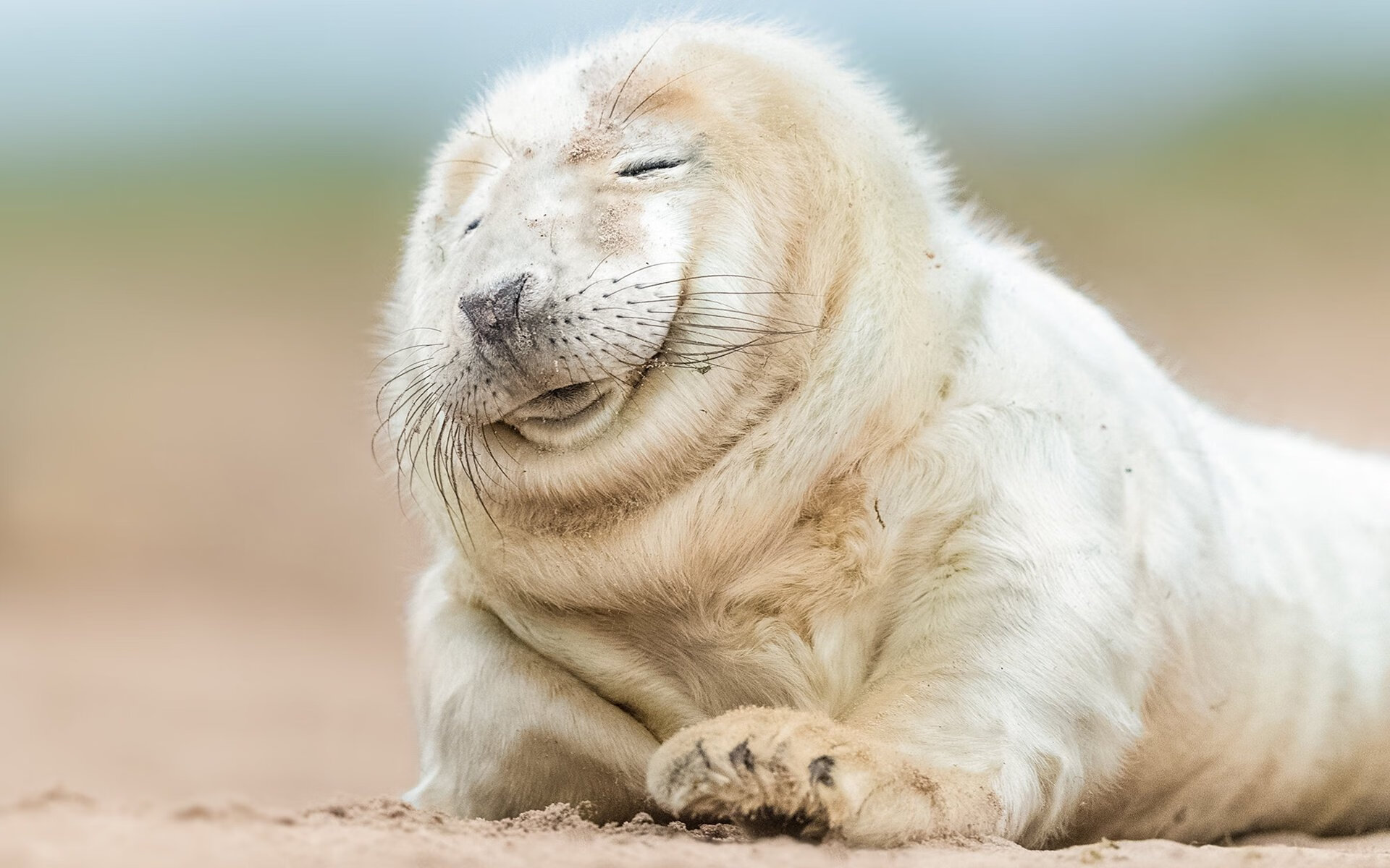 利物浦新援表现出色,助球队获胜,利物浦今年引援名单