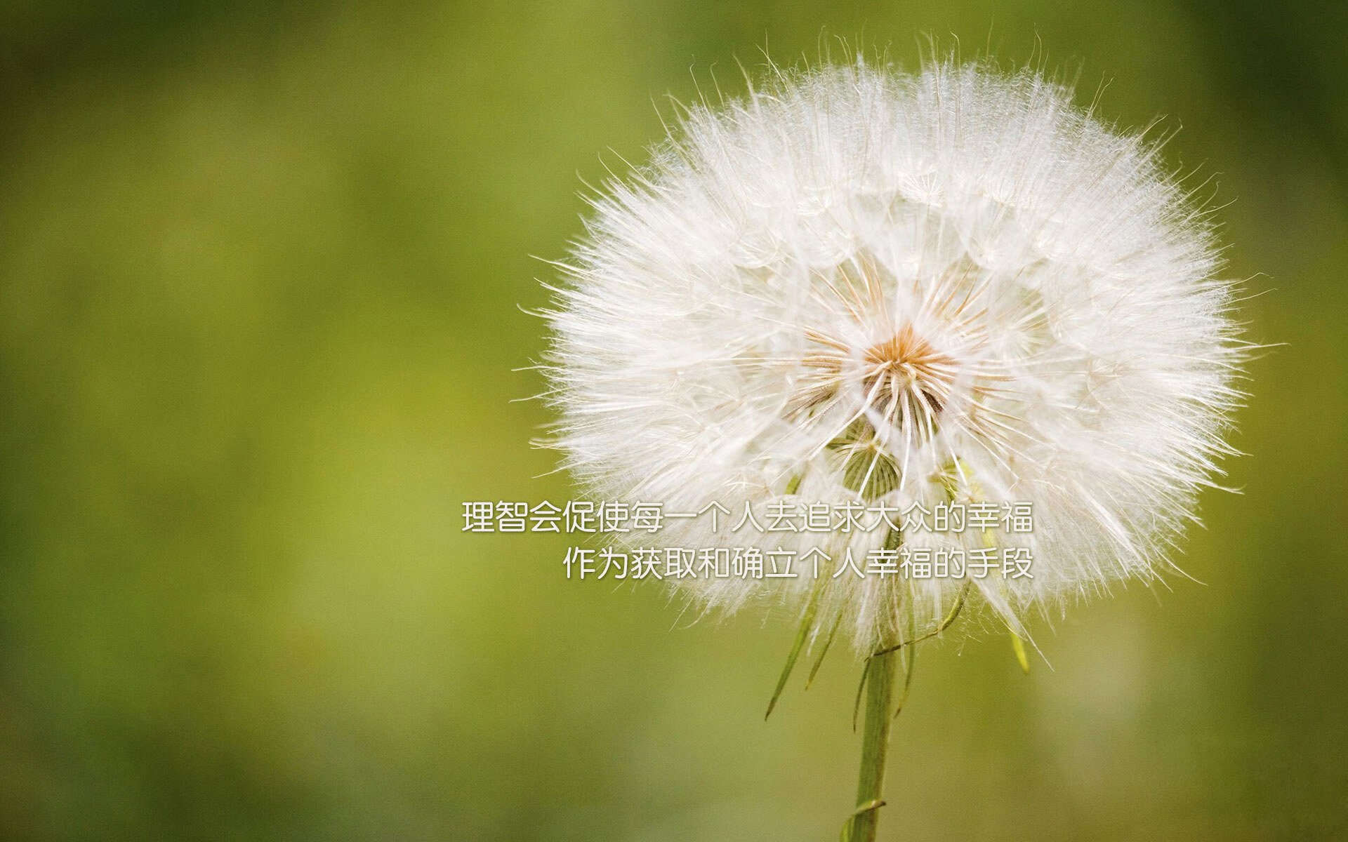 南特主场大胜东尼,取得三分稳定排名提升信心,南特对里昂的比分预测