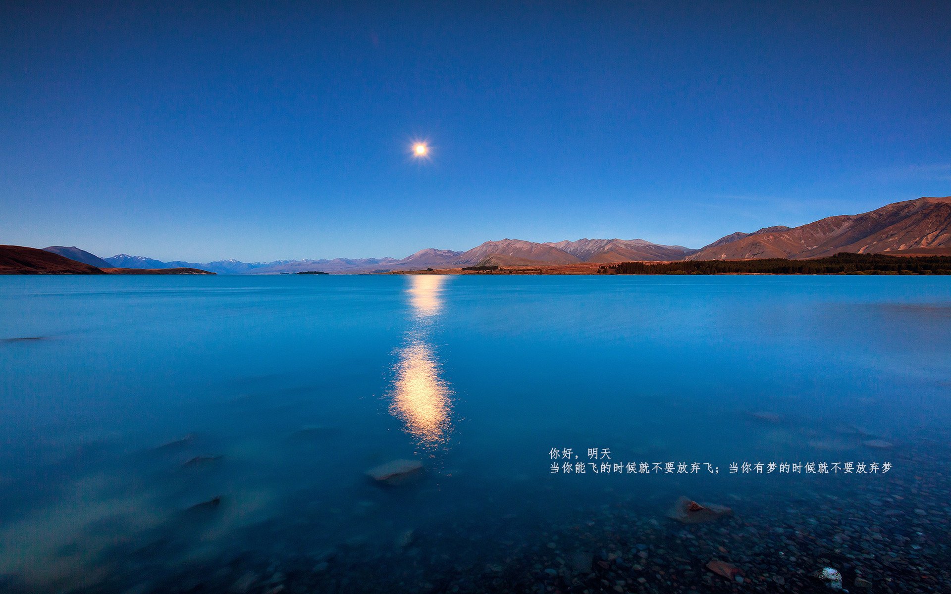 张某在女足比赛中表现出色，成为焦点，张某在足球世界杯期间参加下列活动