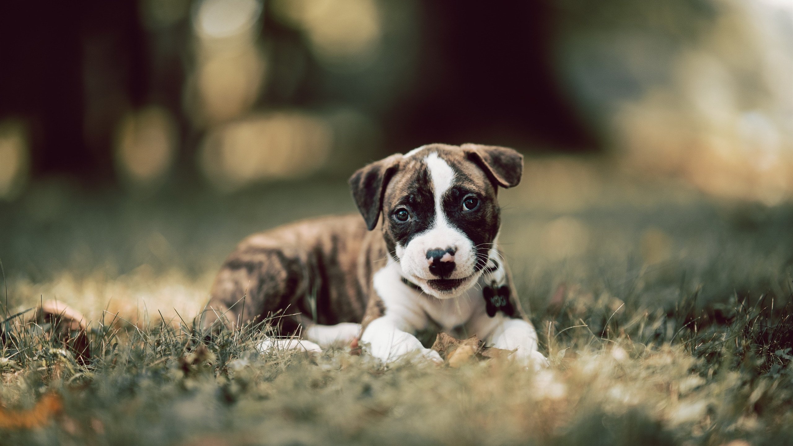 九游（jiuyou.com）游戏-热火队球队心理素质显著增强，热火球队文化