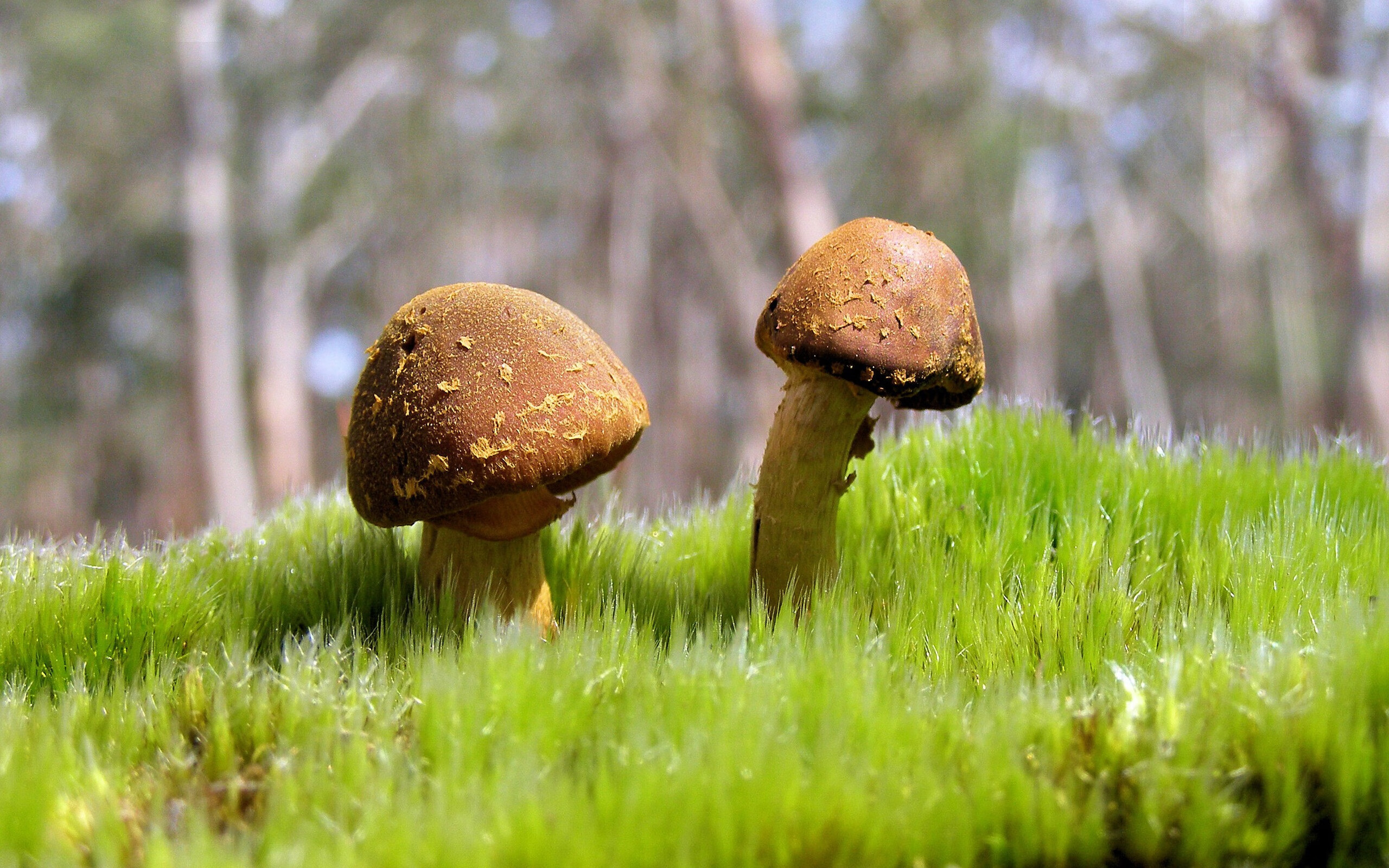 雷丁中前场衔接顺畅，皇家军团盼摆脱泥潭，雷丁i1