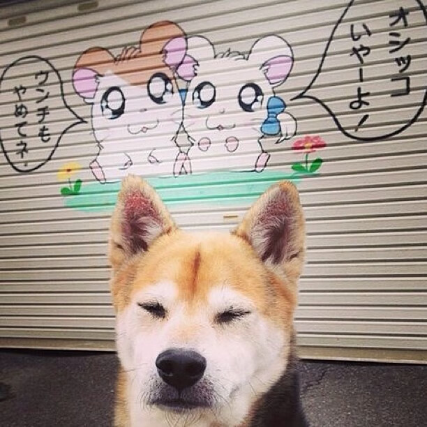 NBA联盟公平竞争政策实施效果评估，nba公平吗