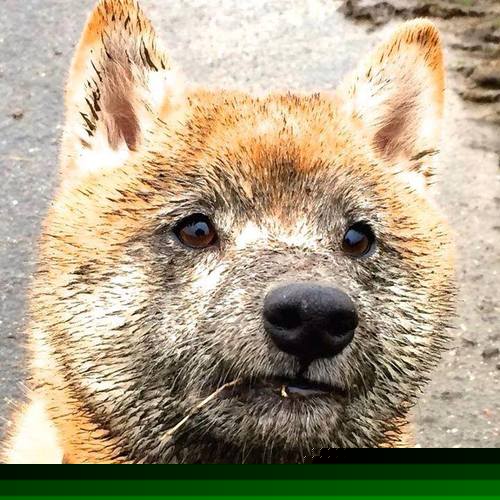 九游jiuyou-国足球员心态稳定性评估，足球心理素质