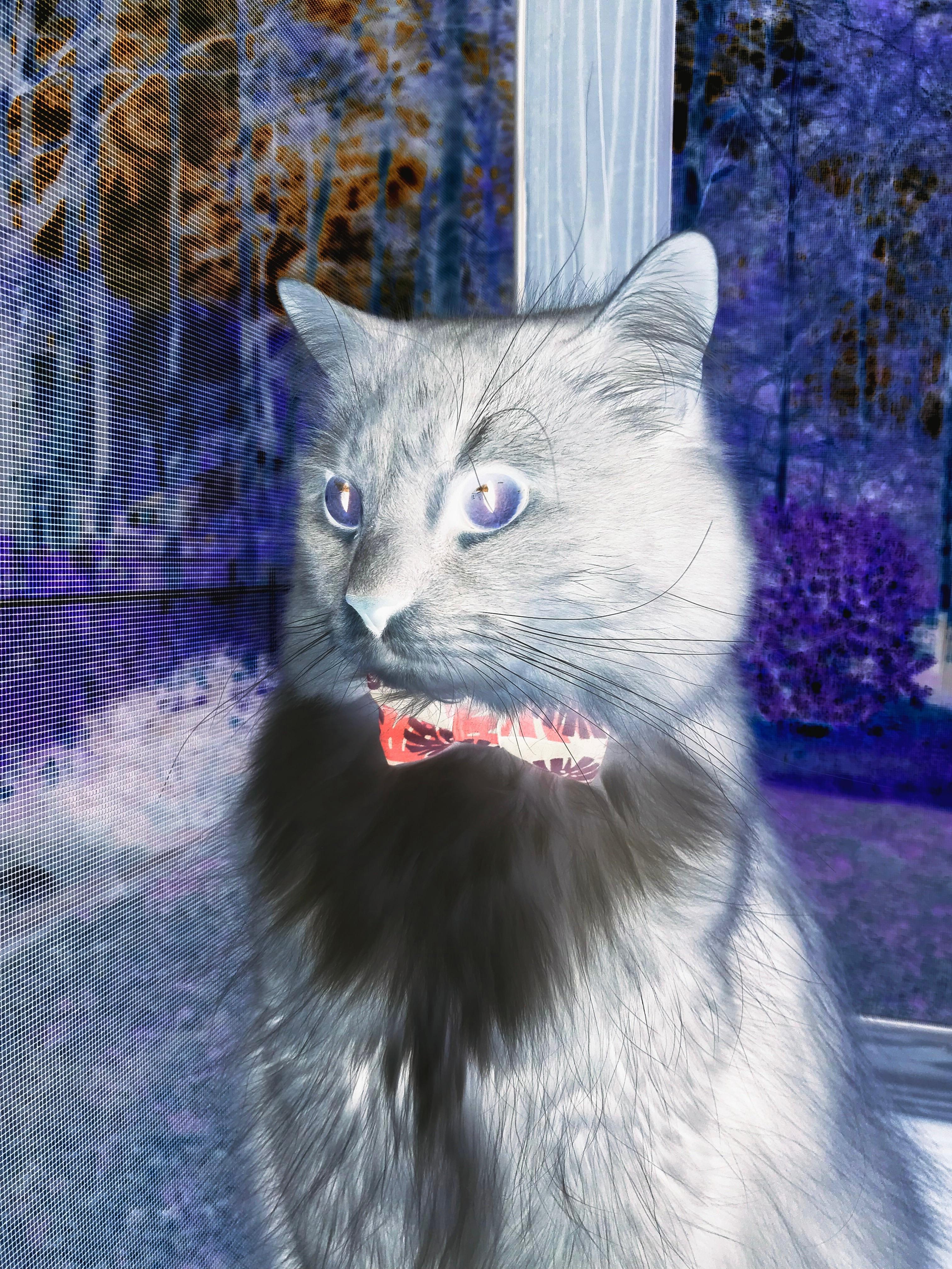 意甲球队利用数据可视化提升战术执行效率的探索,意甲技术统计