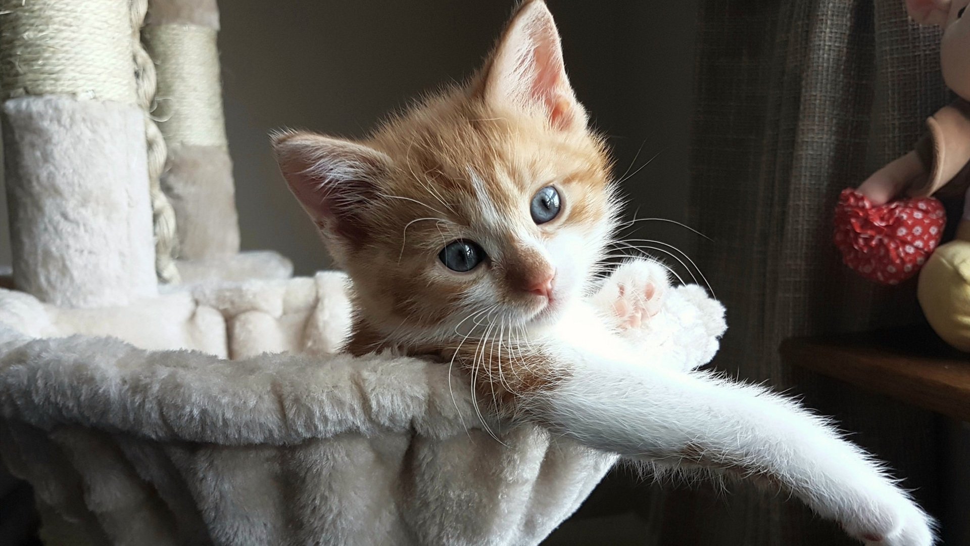 九游登录入口-校园体育课程评价体系与学生发展关联性研究，学校体育评价的概念