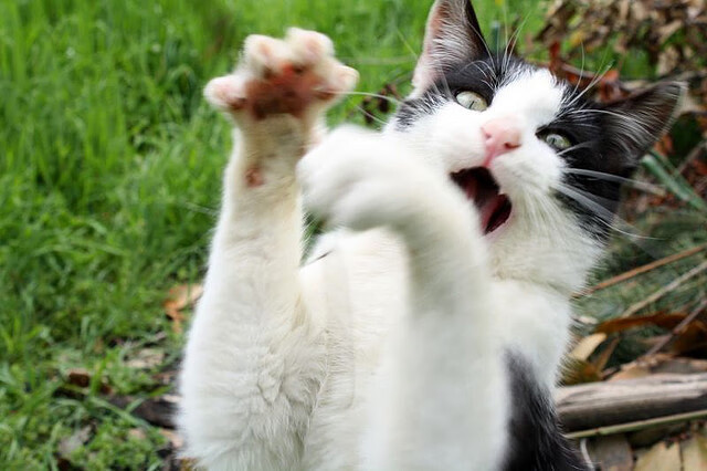 九游（jiuyou.com）游戏-国家队对抗强队时为何失节奏，国家队内部对抗赛