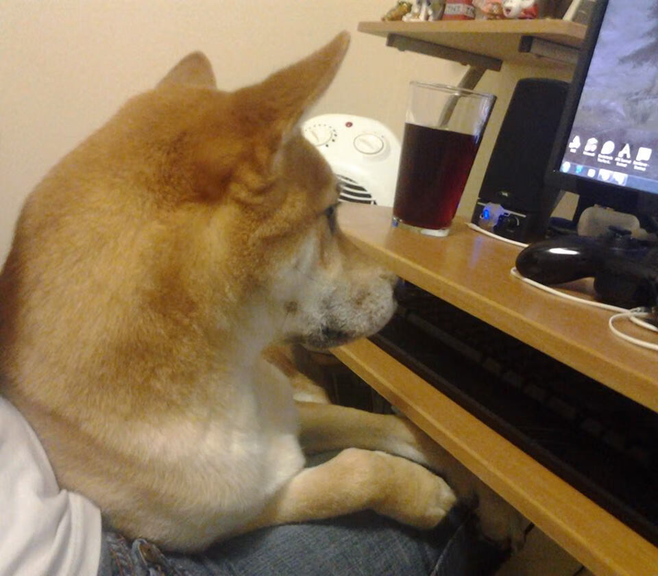 拜仁通过“战术角球”创造关键进球机会