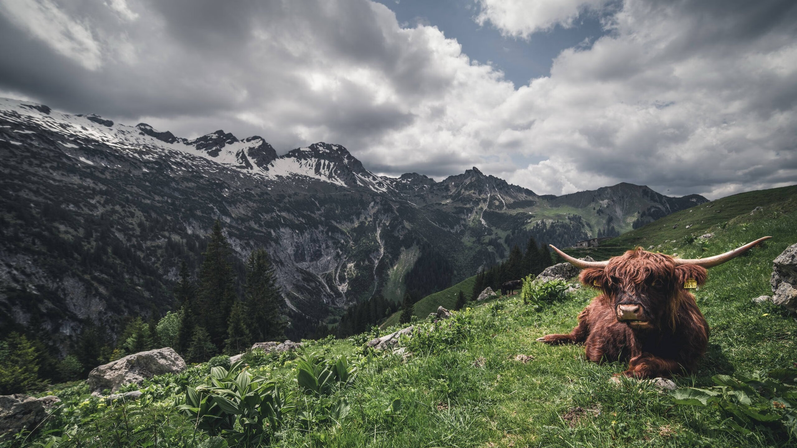 九游APP官网-球迷文化复兴面临的最大阻碍，球迷文化复兴面临的最大阻碍是什么
