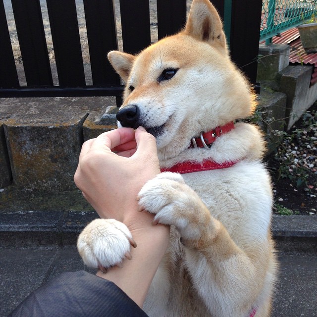 九游sports-轻艇马拉松奖项升级，精英角逐再加码，赛艇马拉松