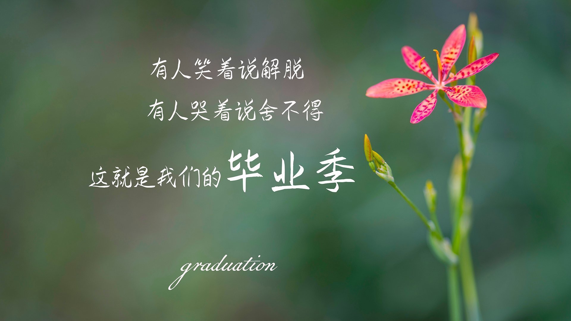 马拉松再掀热潮比赛延期引发讨论,马拉松赛事延期