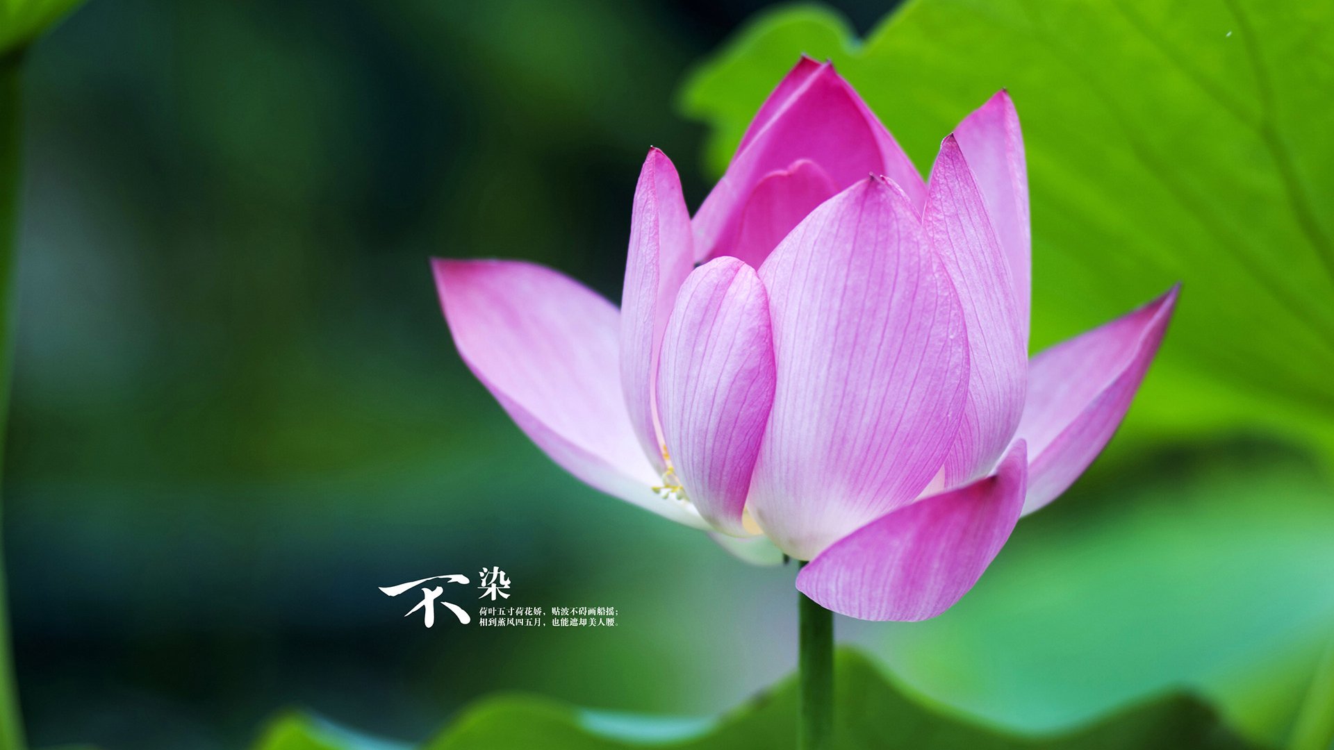 中国足球国家队部署边路进攻专项提升计划,足球边路进攻战术视频