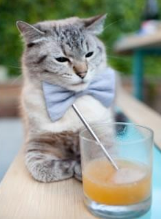 乌拉圭女篮在南美锦标赛中表现突出,迈向新纪元,乌拉圭女子篮球联赛