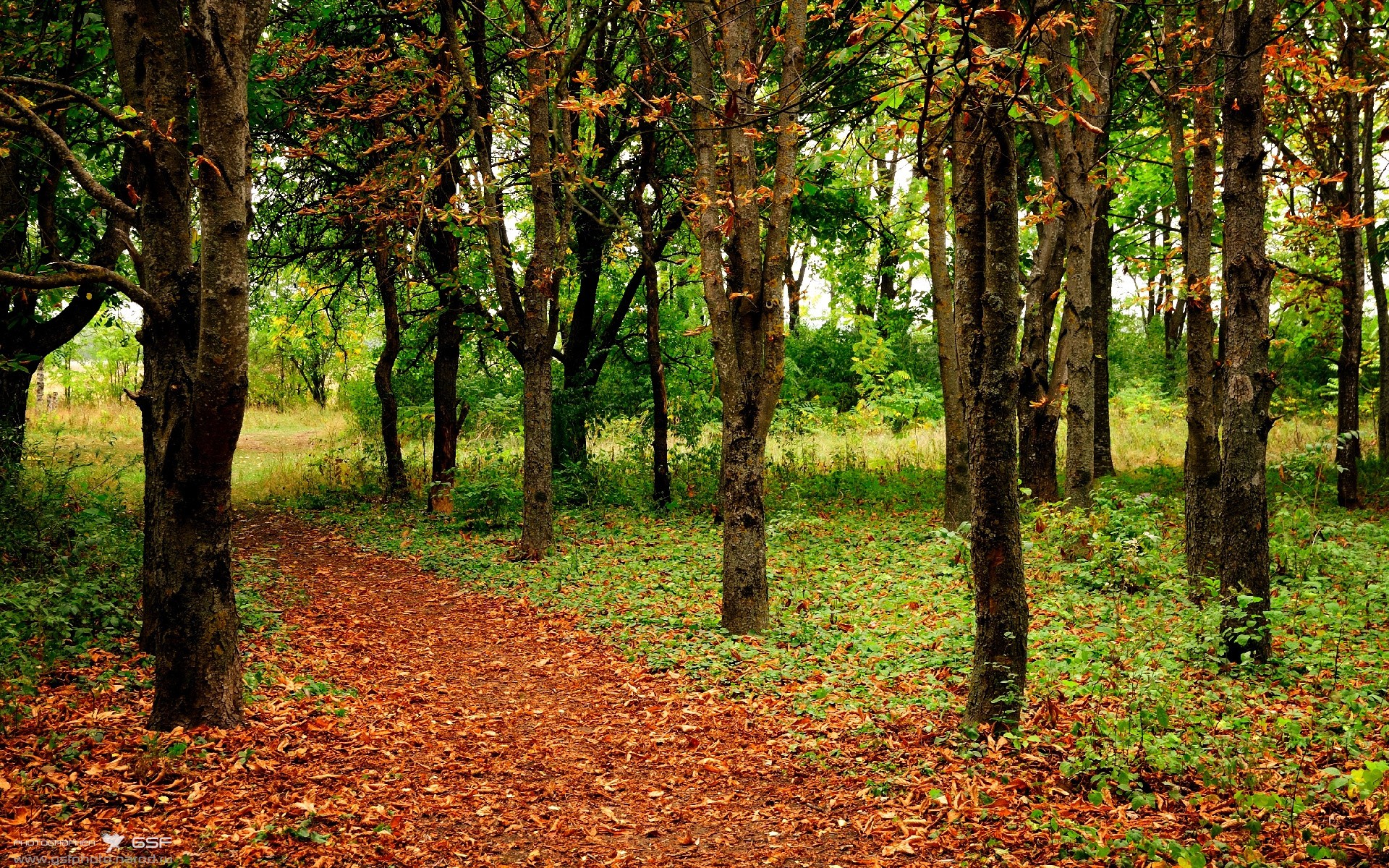 九游官网下载电脑版-卡萨斯精准换泳成夺冠关键，卡萨斯主教