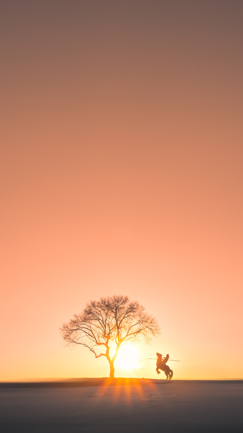 张雨霏蝶泳技巧日臻完美,张雨霏蝶泳教学