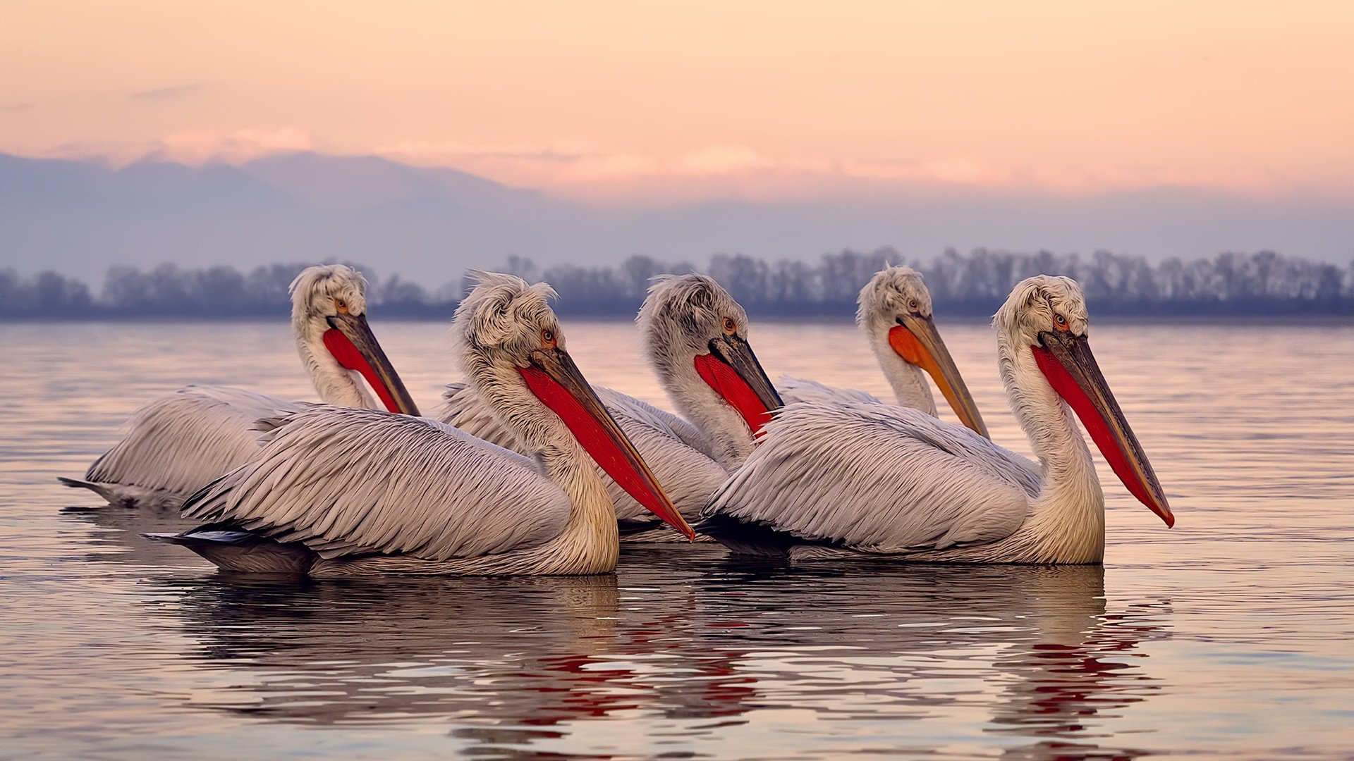 技术稳定性强,发挥稳定度高于以往,稳定化技术