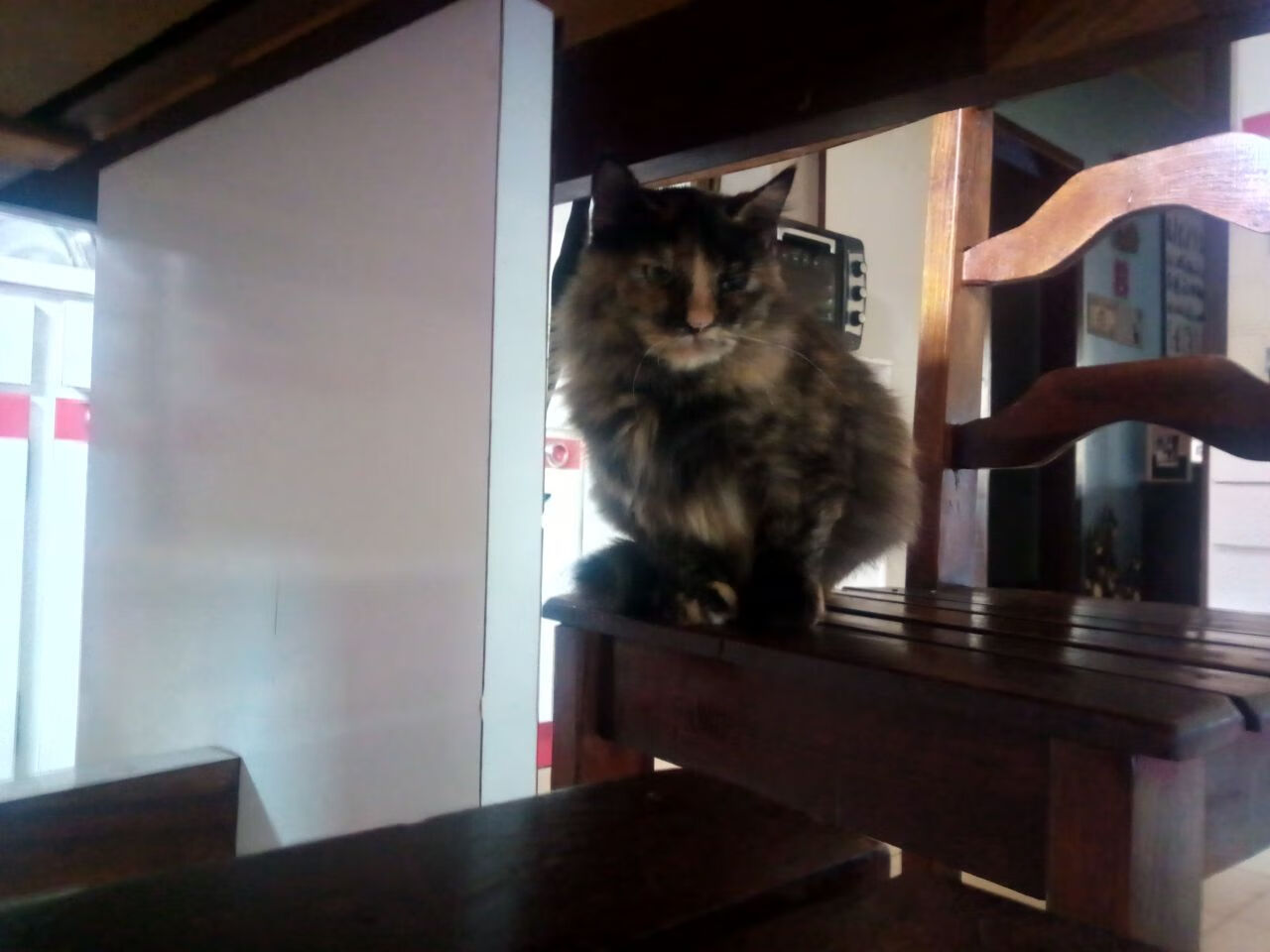 英国男子接力队赛后分享备战心得,英国接力银牌被取消