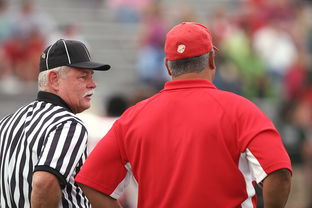 九游官方下载-意甲裁判语义分析辅助判罚准确性的应用探讨，意甲裁判名单