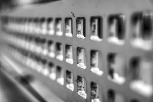 九游下载电脑版-青少年体质监测结果区域对比研究，青少年健康体质检测中心